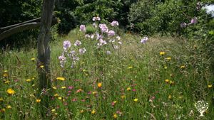 Kräutergärtnerei mit Schaugarten