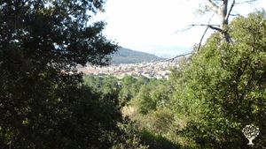 Panorama sur le chemin du jardin