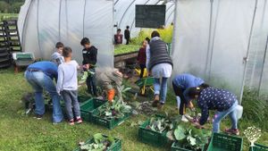 Solidarische Landwirtschaft/CSA auf schönem Fachwerkhof am Naturschutzgebiet der Lippeauen