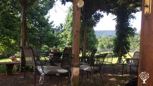Back door patio terrace with firepit. Wisteria covered trellis provides shade to relax, enjoy meals