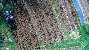Ferme agroécologique et solidaire