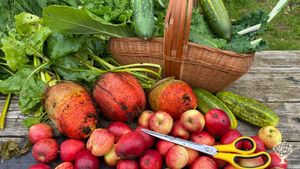 Educational centre, smallholding