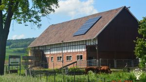 Vielfältiger Hof mit Hühnern, Ziegen, Gänsen, Rindern, Permakultur, Verarbeitung, Vermarktung