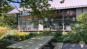 deze mag blijven maar niet als hoofdfoto :)