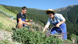Fattoria di famiglia