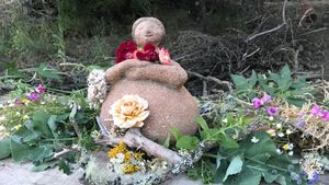 Creating a homestead that provides healthy food, fun, a healing space, and learning opportunities