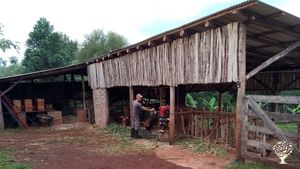 La Lechuza Ecolodge es una granja ecológica y área natural protegida en la zona central de Misiones.