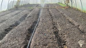 Somos el equipo Soilik, cooperativa de Horticultura Ecológica Regenerativa