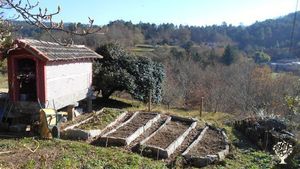 Homestead