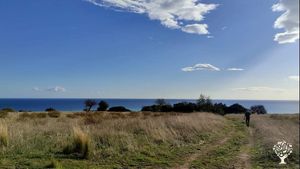 Comunità cooperativa alternativa, Destinazione Agrituristica, Vivaio di alberi da frutto