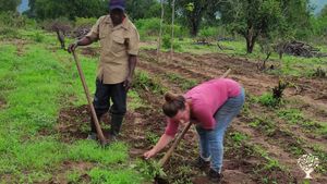 Weeding and preparing the farm for the crops