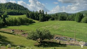 Le jardin pour notre production et la production de ''Ptêt à Tout'' vue de la cuisine de transfo.