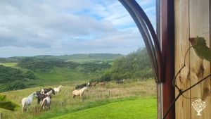 Remote Smallholding & Horse-riding Adventures in West Scotland