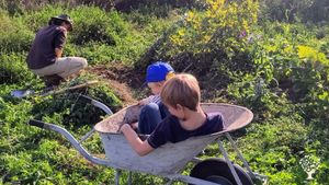 We are two families who run a regenerative community farm together.