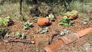 Agroecology project in Mediterranean climate