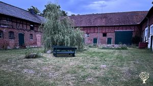 Der geschützte Innenhof, wo wir essen, lesen und Rasen mähen.