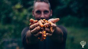 Association qui promeut l'agriculture respectueuse de l'homme et l'environnement dans les Caraïbes