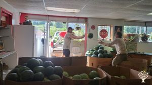 Felix and John tossing watermelons  at our farm stand.