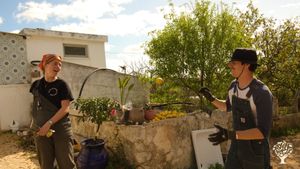 Sweet Family farm close to Olhão