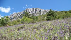 Ferme biologique certifiée en Provence dans le haut var.