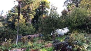 Large family community house and land with organic kitchen garden and forestry