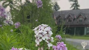 Wellness Retreat Center north of Kingston, Ontario
