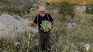 Siamo  Dino ed Helene, abbiamo una proprietà nella piana dei cugni ,vicino a cavagrande,Siracusa