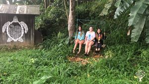 64 acres of macadamia nut trees, sustainable/Regenerative food forest, and gardens on Big Island
