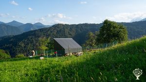 Regenerative Family Hill Farm