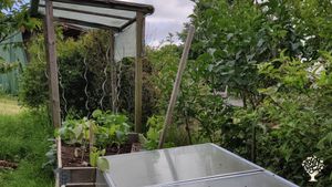 Tomaten"haus" und Anzuchtbeet. Schutz für die Gemüsebabys
