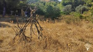 Orto di Sementi antiche, Home restaurant con prodotti naturali a km0