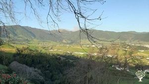 Family home and garden - rural