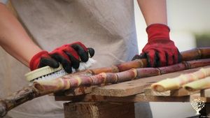 Micro distillerie de fruits et canne à sucre issu de l'agriculture  biologique à la Réunion
