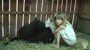 Between hills and woods its a beatifull nature with the wonderfull simplity of life!