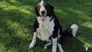 Establecimiento agro vitícola con fines educativos y turístico