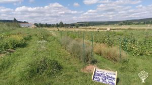 Micro-ferme Plantes aromatiques et médicinales
