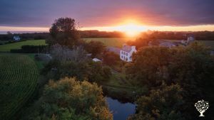 Mushrooms, gardens & creative projects in coastal France.