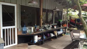 We are a small macadamia nut farm with a few other crops for sale or consume on the farm.