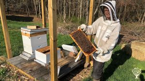 8 acre family farm in rural Fredrick County, Maryland that grows vegetables and cut flowers
