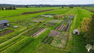 The main field of ourmarket garden with our vegetable plots. Picture was taken September 2025