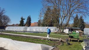 Gemüsegärtnerei, Solidarische Landwirtschaft, Market Garden Betrieb