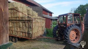 Old countryside farm near Stockholm with animals, renovation, garden and real rural life experience