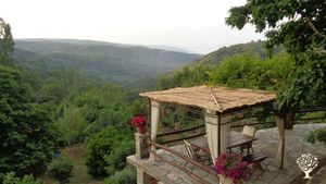 Family home and garden - rural