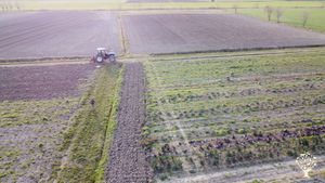 Azienda agricola biologica vitale