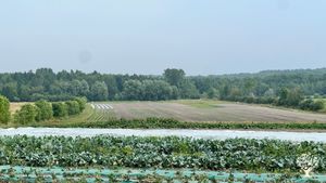 Ferme maraîchère biologique