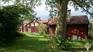 Sheep Breeding Community Farm