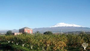Azienda agricola naturale nella Valle del Simeto