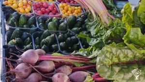 Produzione ortaggi