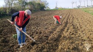 Azienda agricola biologica sulle colline Teramane