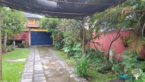 Vista do quintal